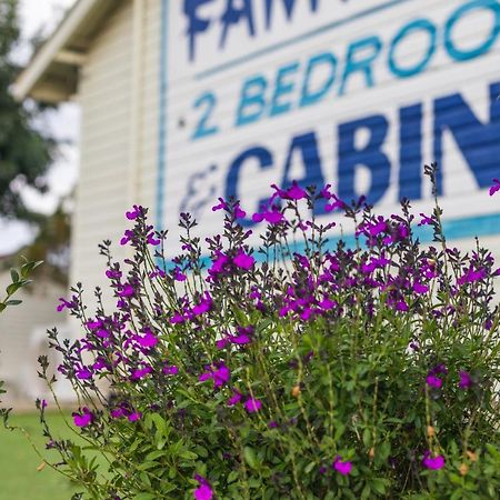 Golfers Inn Tenterfield Eksteriør billede