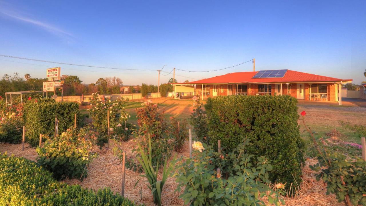 Golfers Inn Tenterfield Eksteriør billede